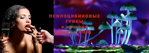 мяу мяу мука Горняк